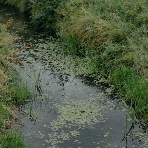 壹号娱乐老虎机游戏