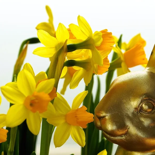 壹号娱乐百家乐游戏